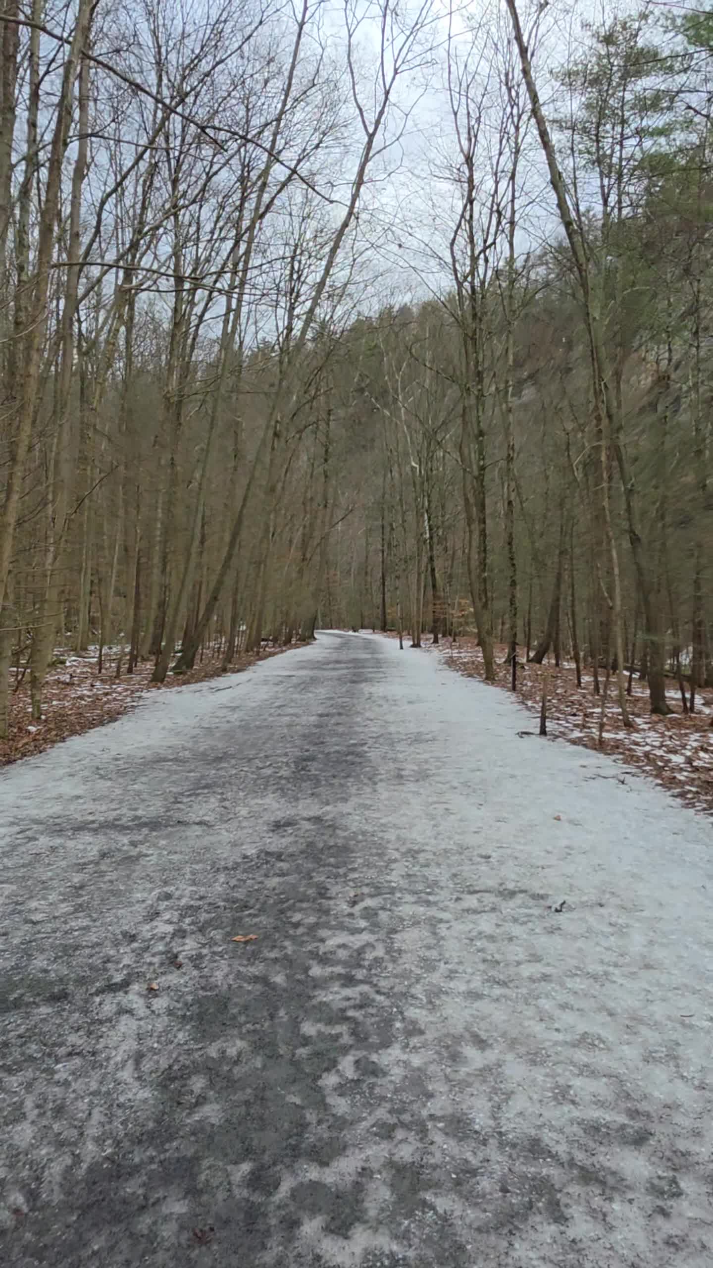Taughannock Falls State Park