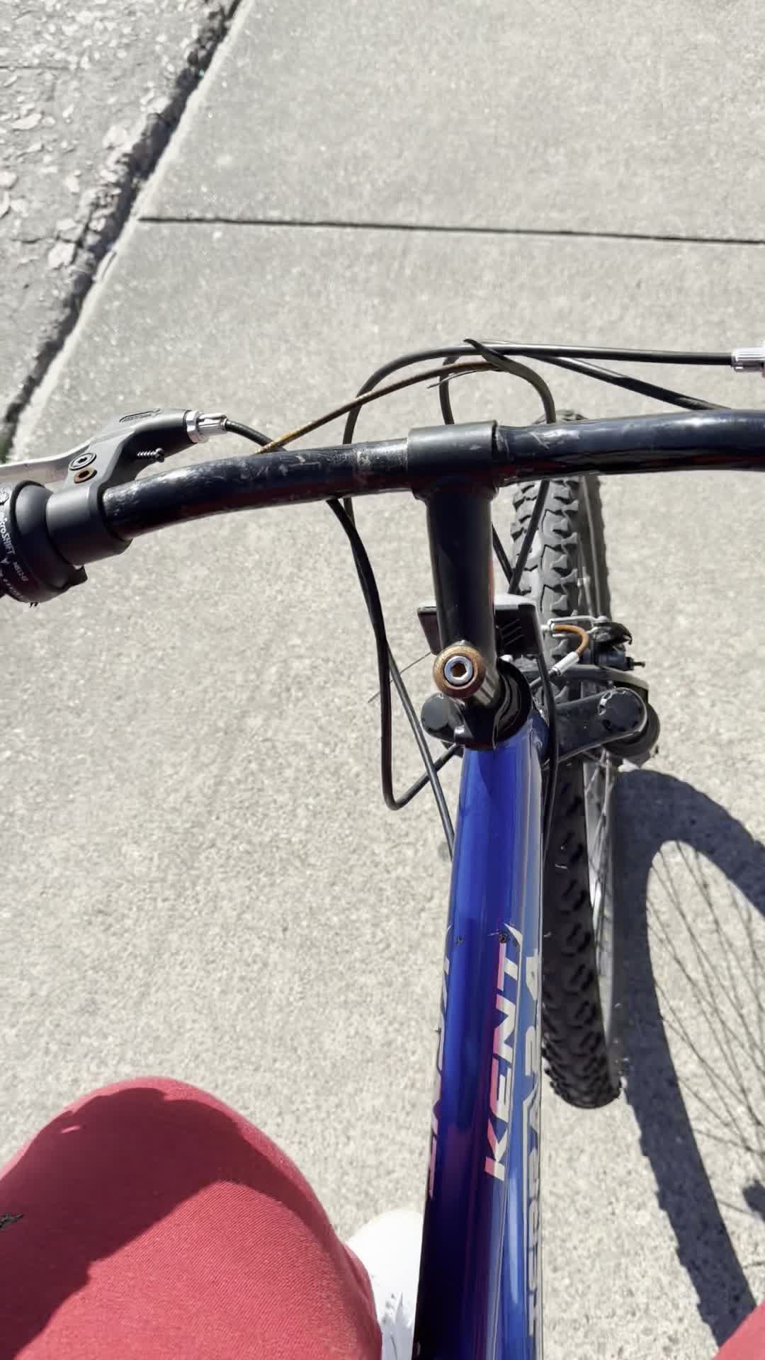 Video review of The Gumbo Diner