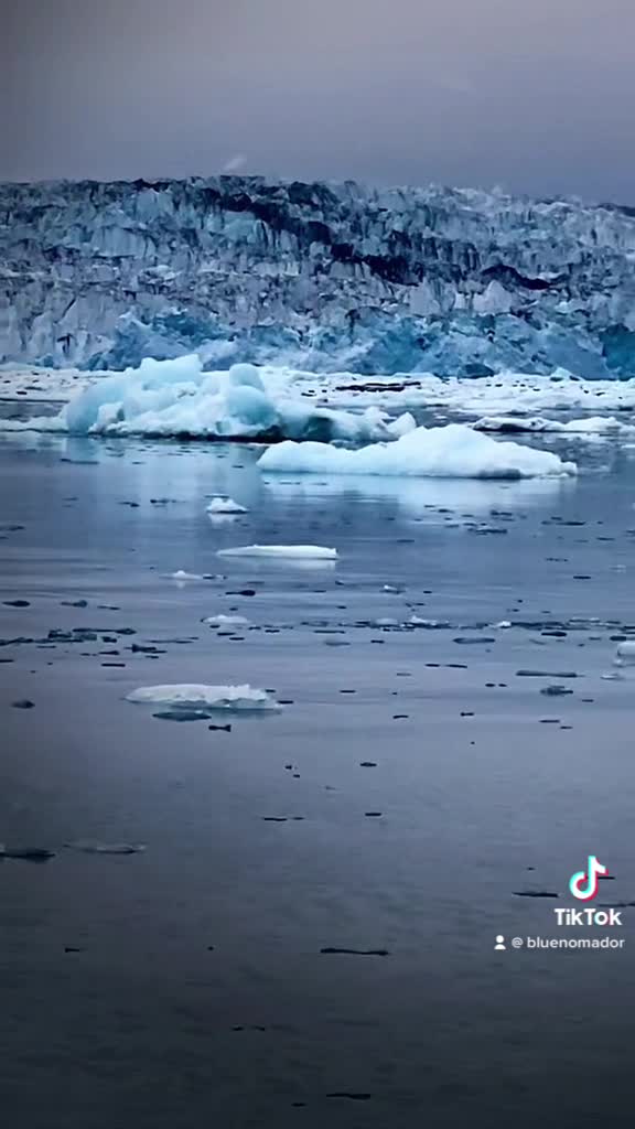 Stan Stephens Glacier & Wildlife Cruises