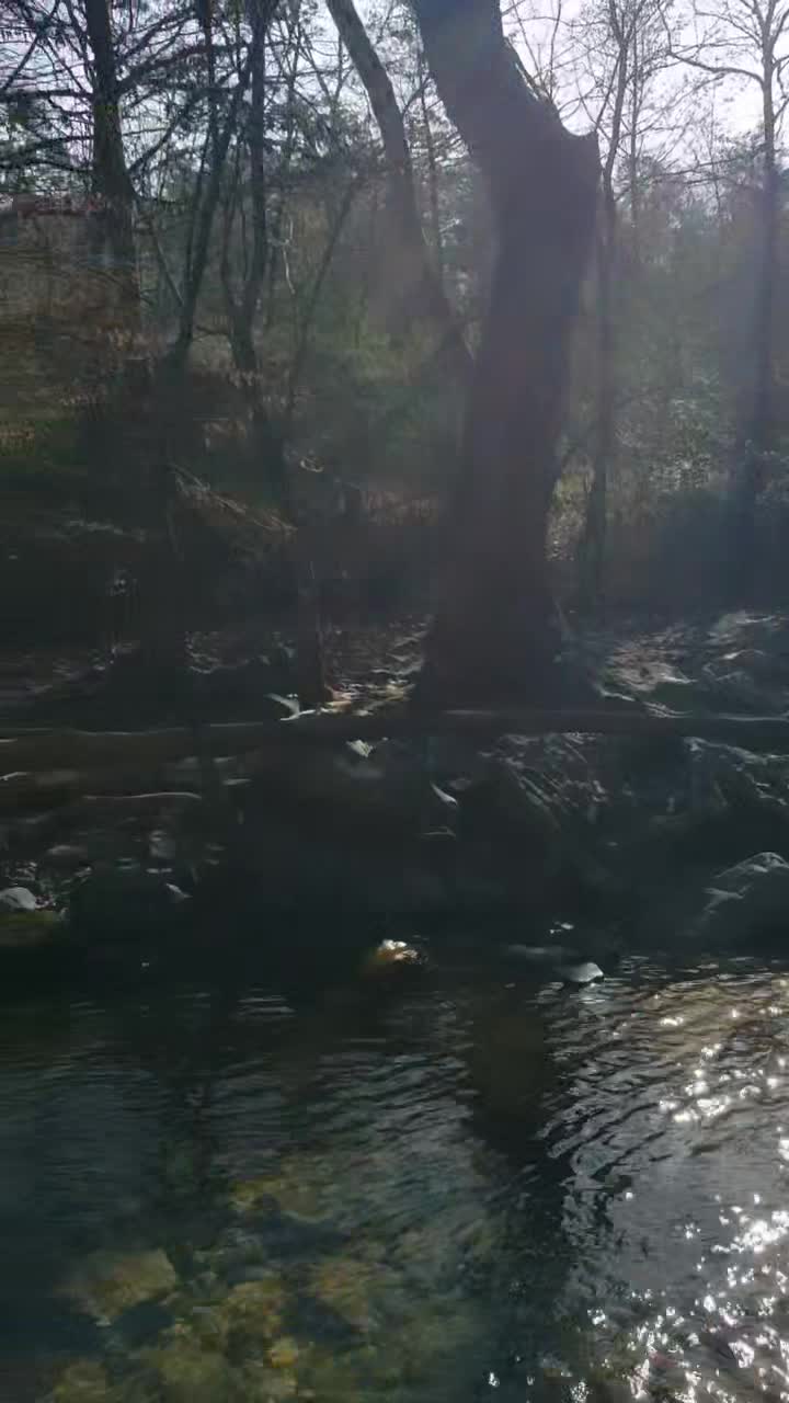 Beavers Bend State Park