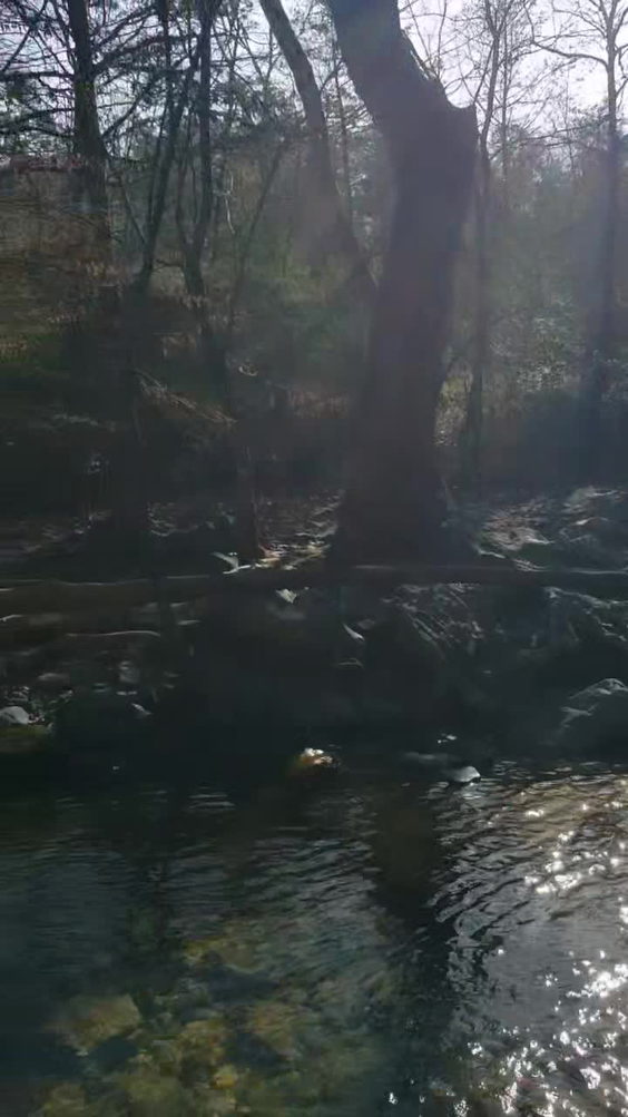Beavers Bend State Park
