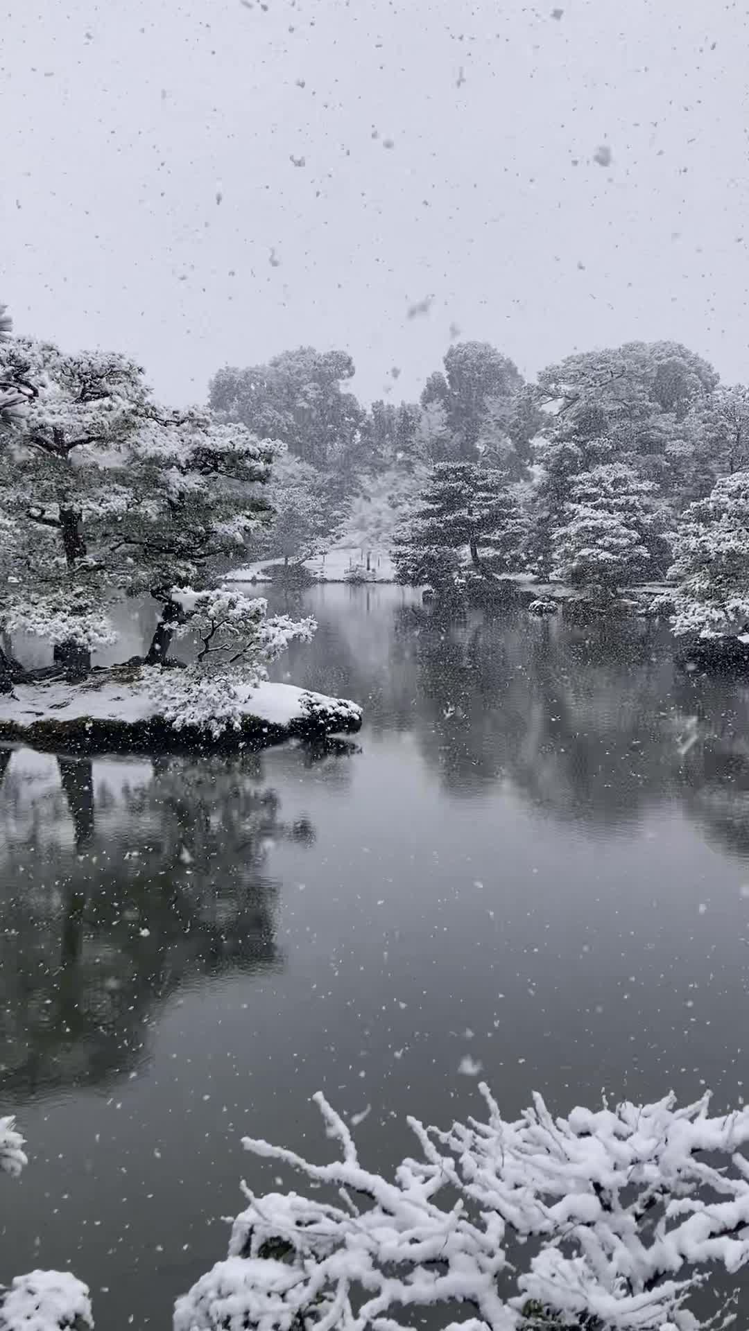 鹿苑寺 (金閣寺) (Kinkaku-Ji Temple)