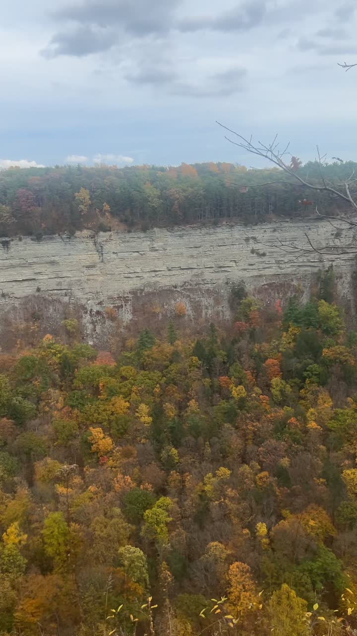 Theo's Family Restaurant