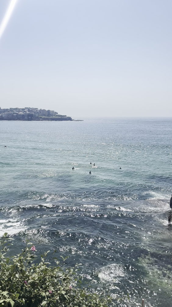 Bondi Icebergs Pool