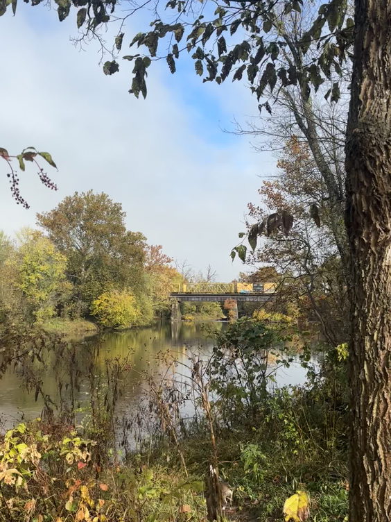 Gambrill mill trail