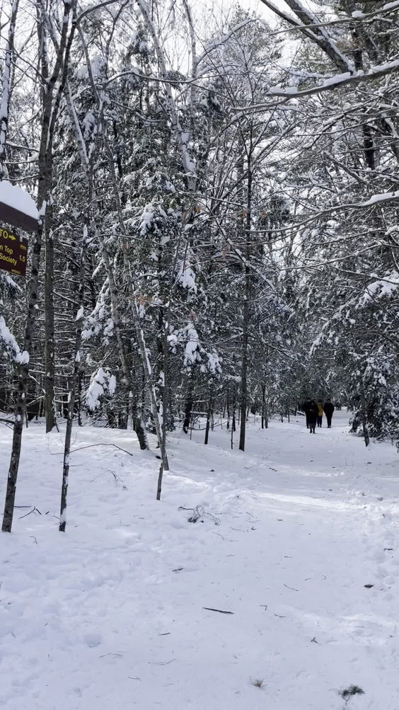 Kaaterskill Rail Trail Trailhead