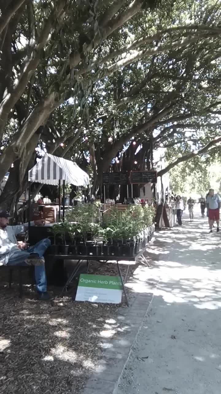 Blaauwklippen Markets