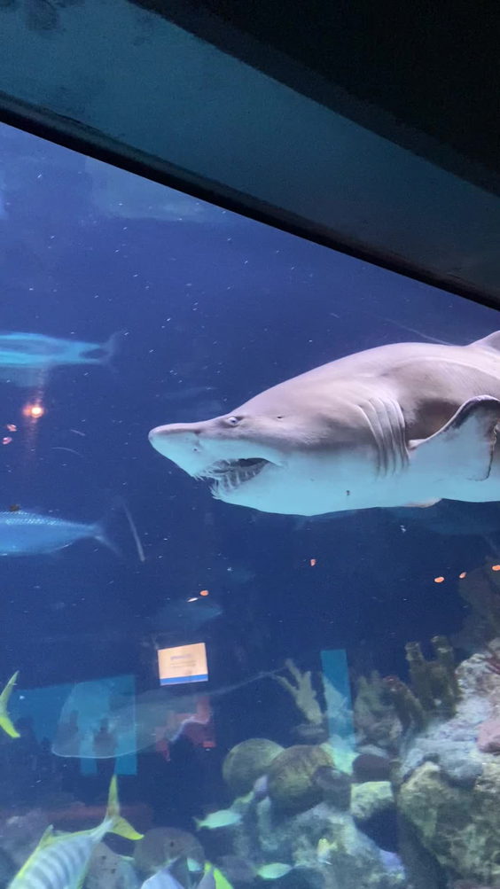 Minnesota Zoo
