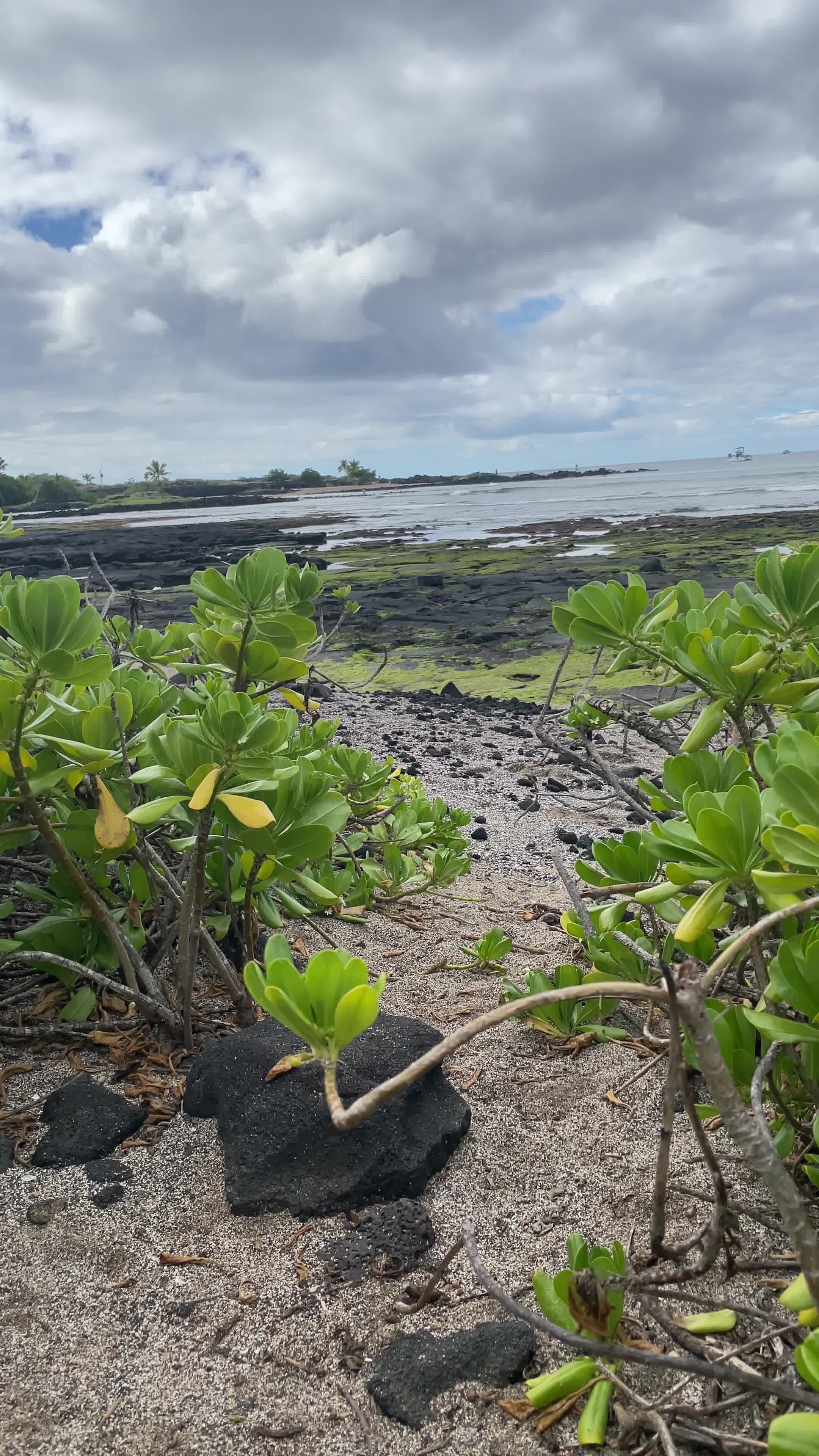 Kaloko-Honokōhau National Historical Park