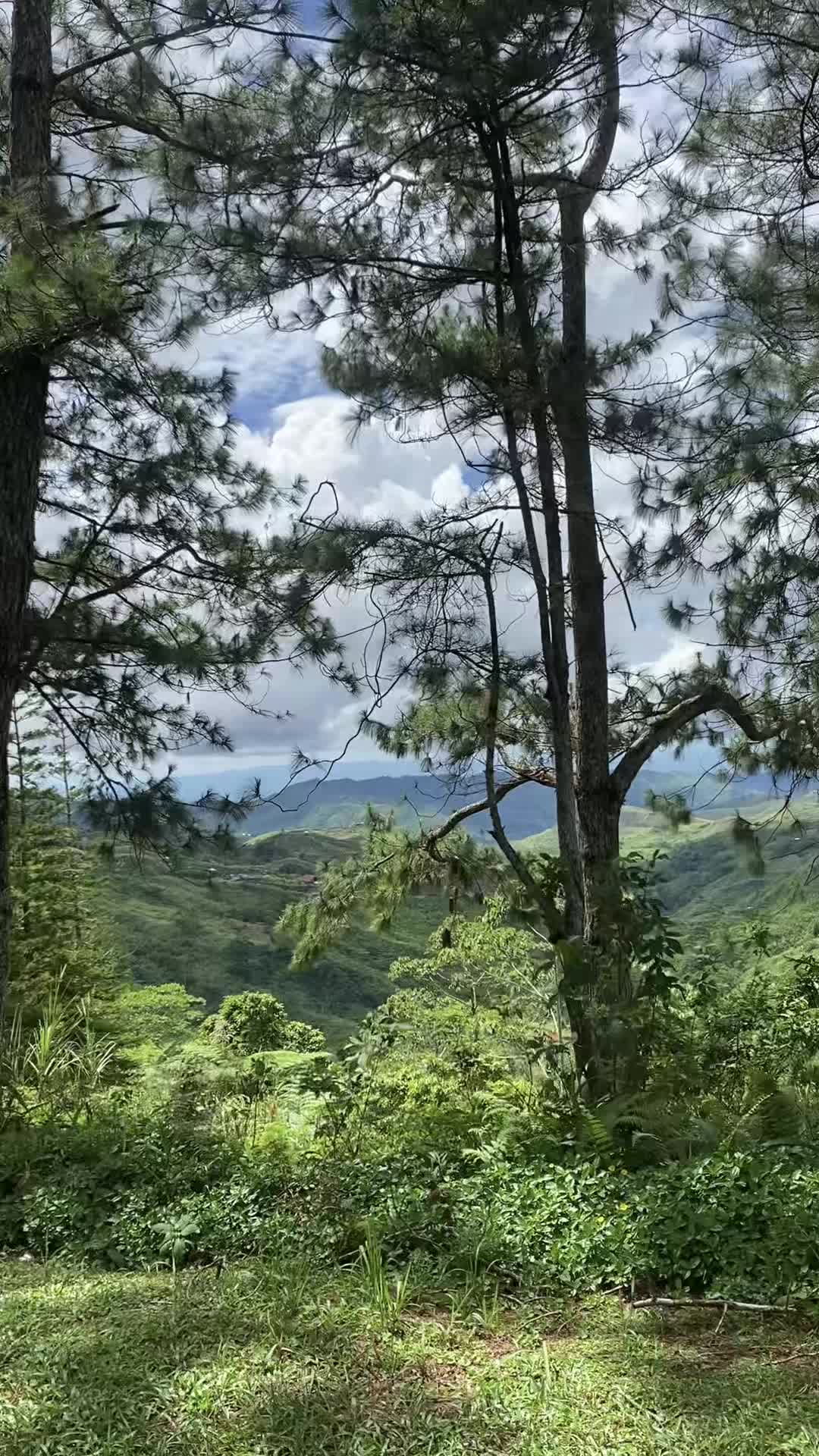 Marilog