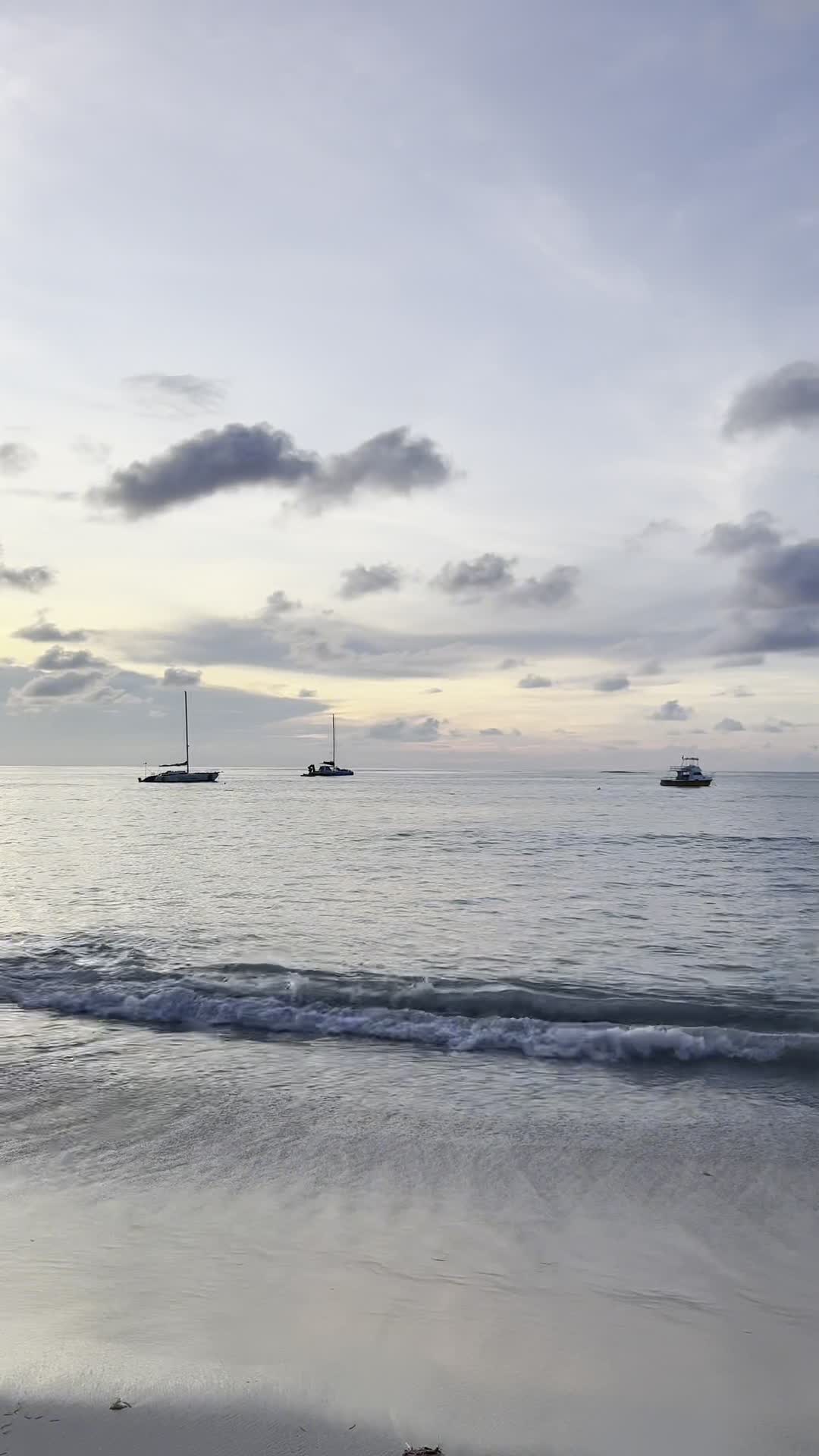 Video review of Palm Beach