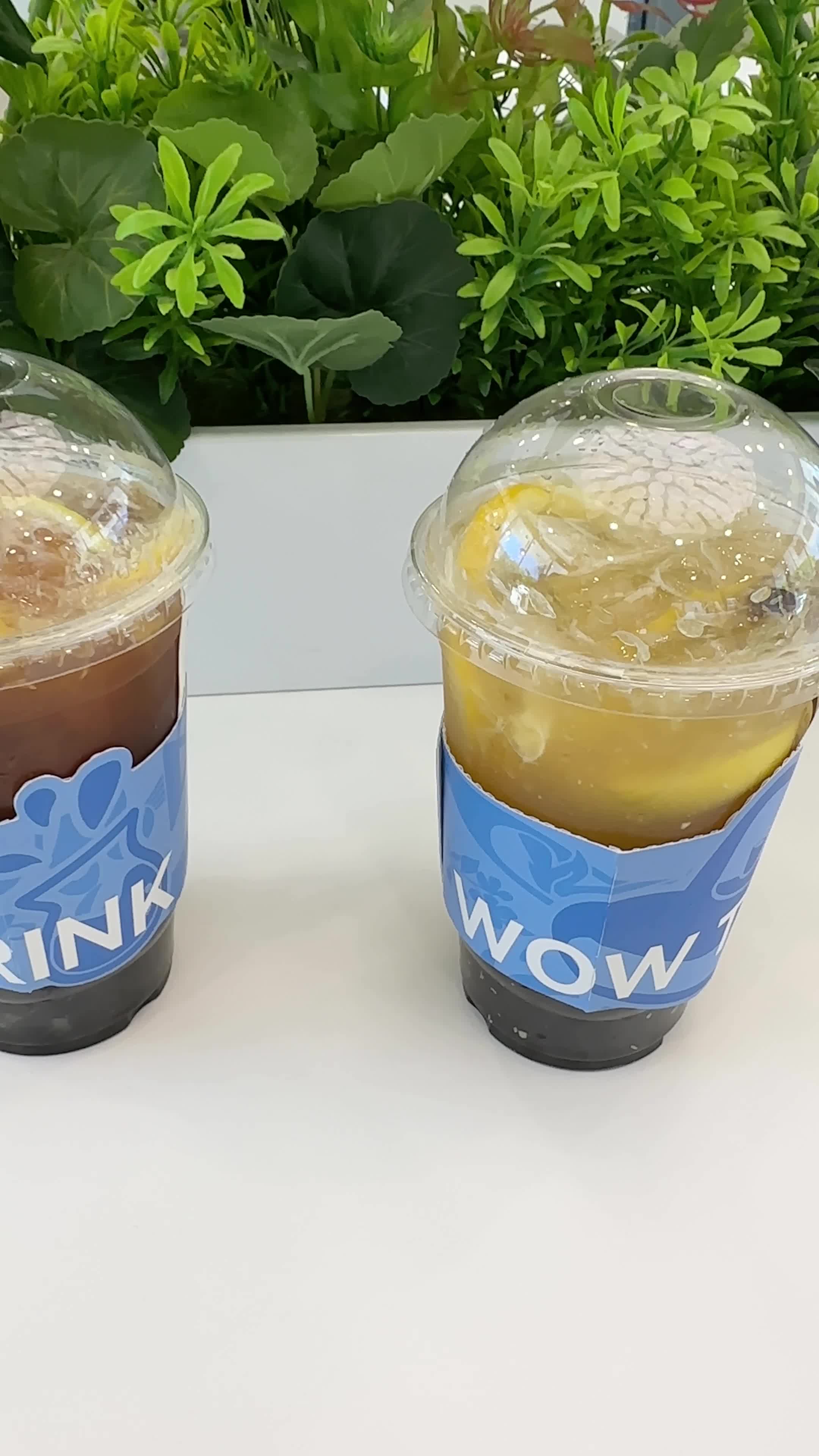 Wow Tea Drink