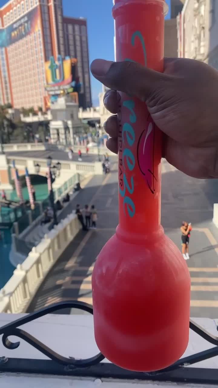 The Las Vegas Strip