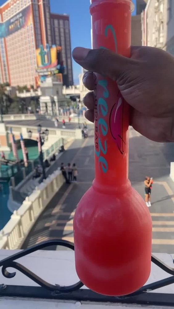 The Las Vegas Strip
