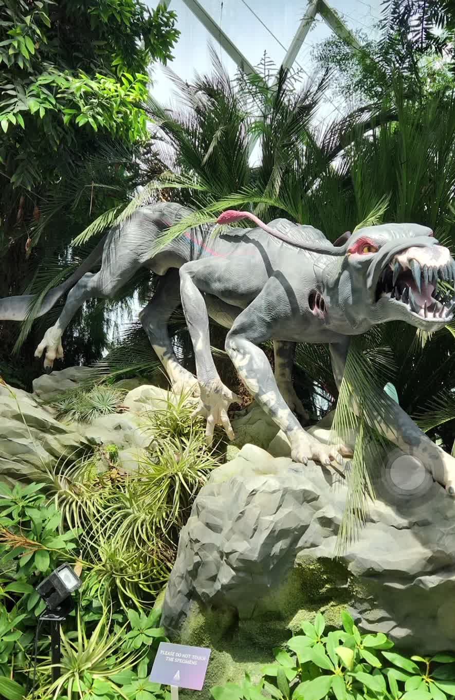 Video review of National Orchid Garden