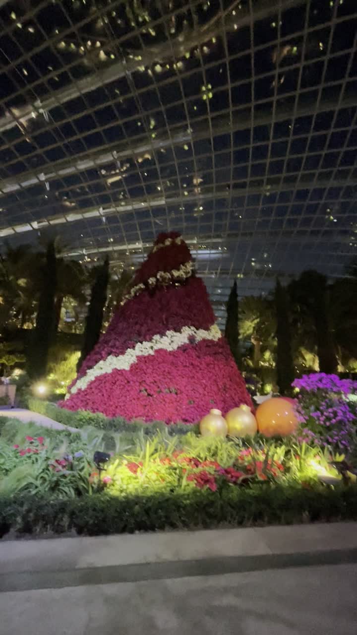 Video review of Flower Dome