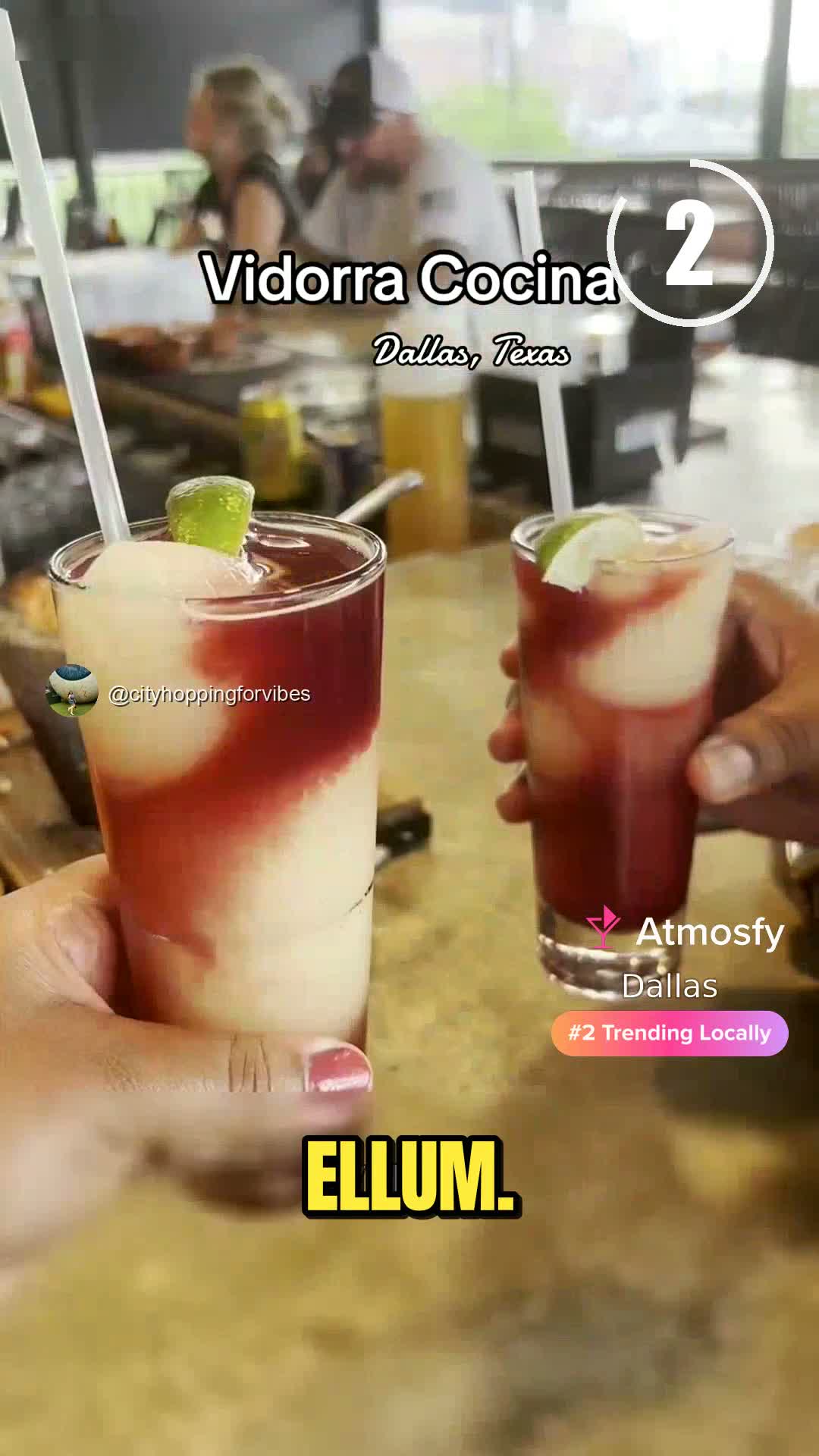 Video review of MUTTS Canine Cantina