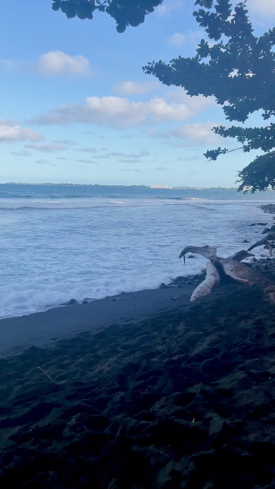 Honoli'i Beach Park