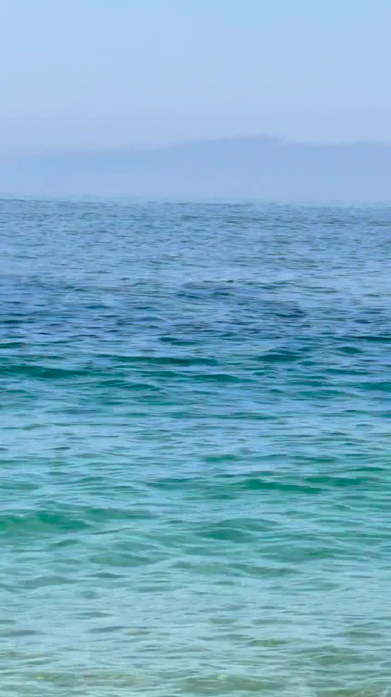 Vallarta adventure