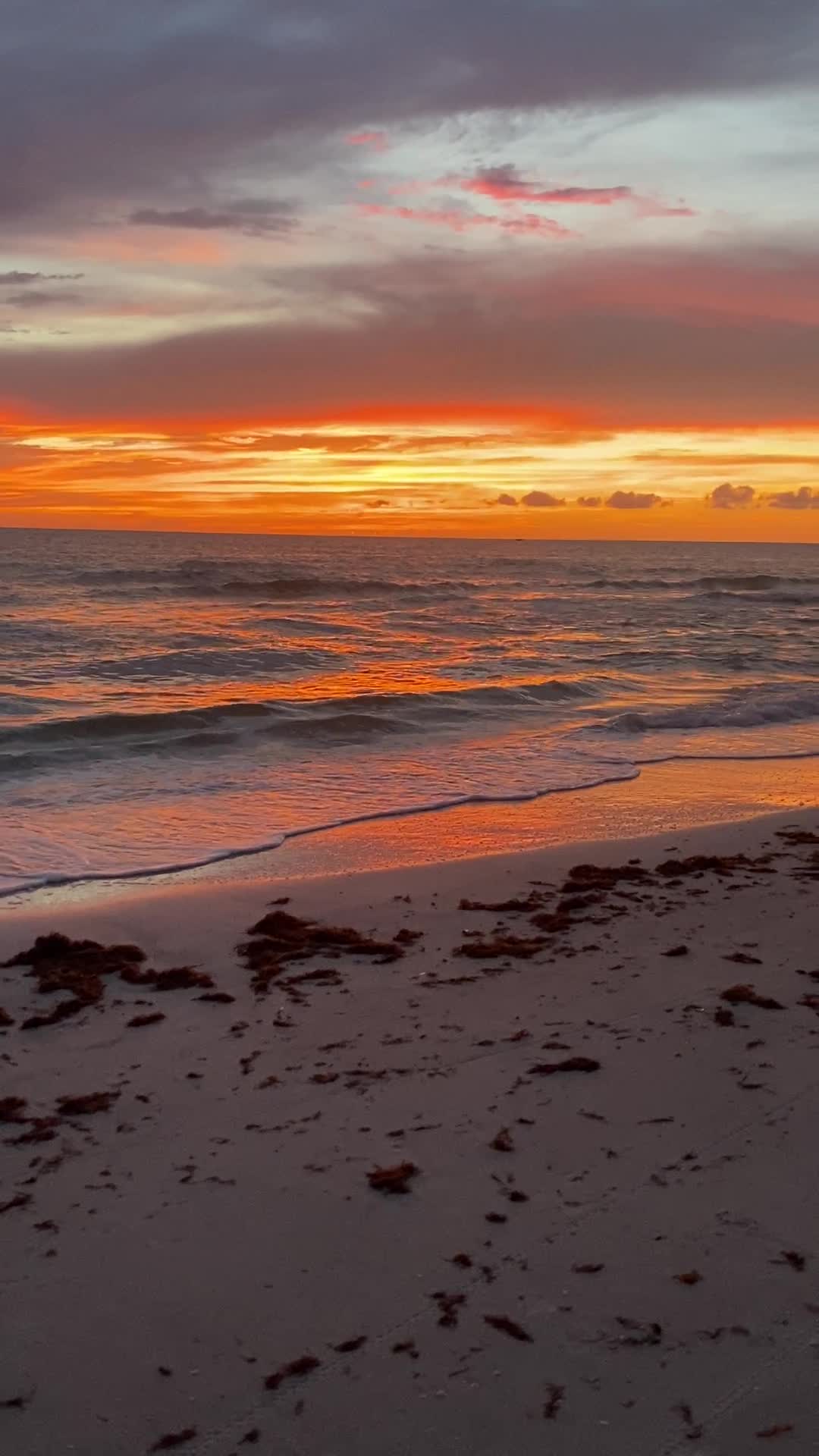 Video review of Sunset Beach