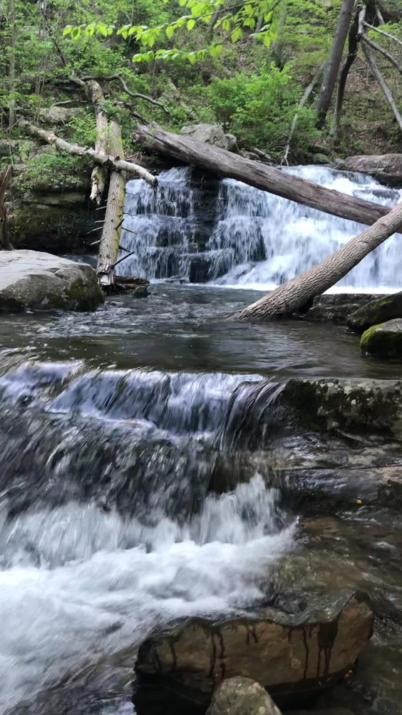 Mount Tammany