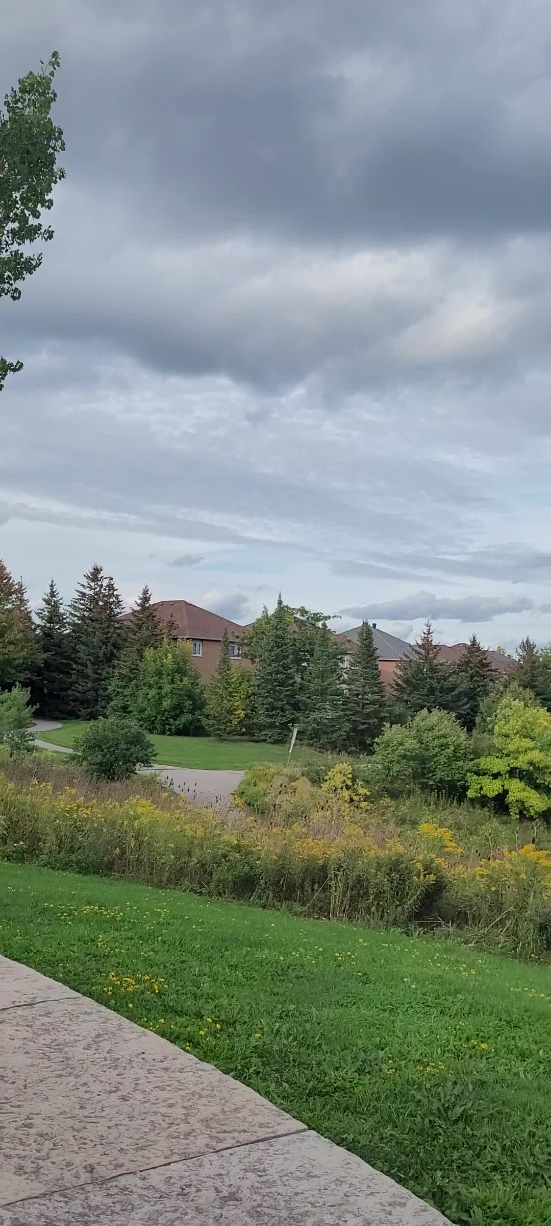 Austin Drive Park