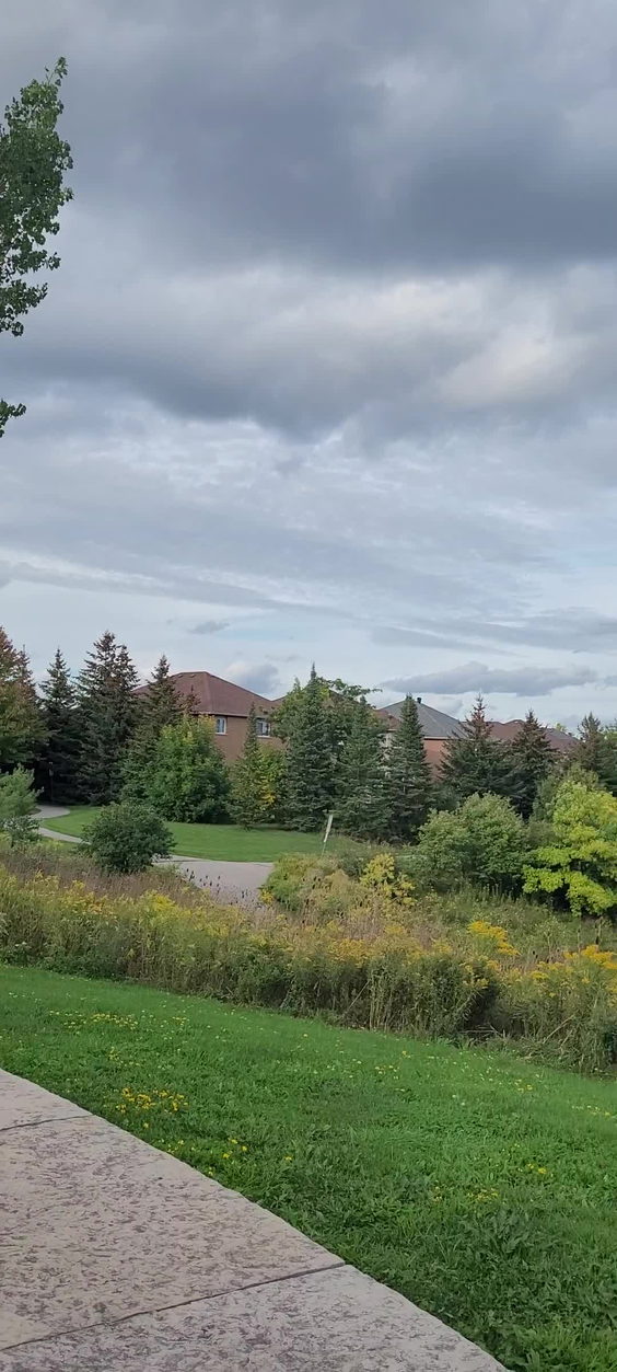 Austin Drive Park