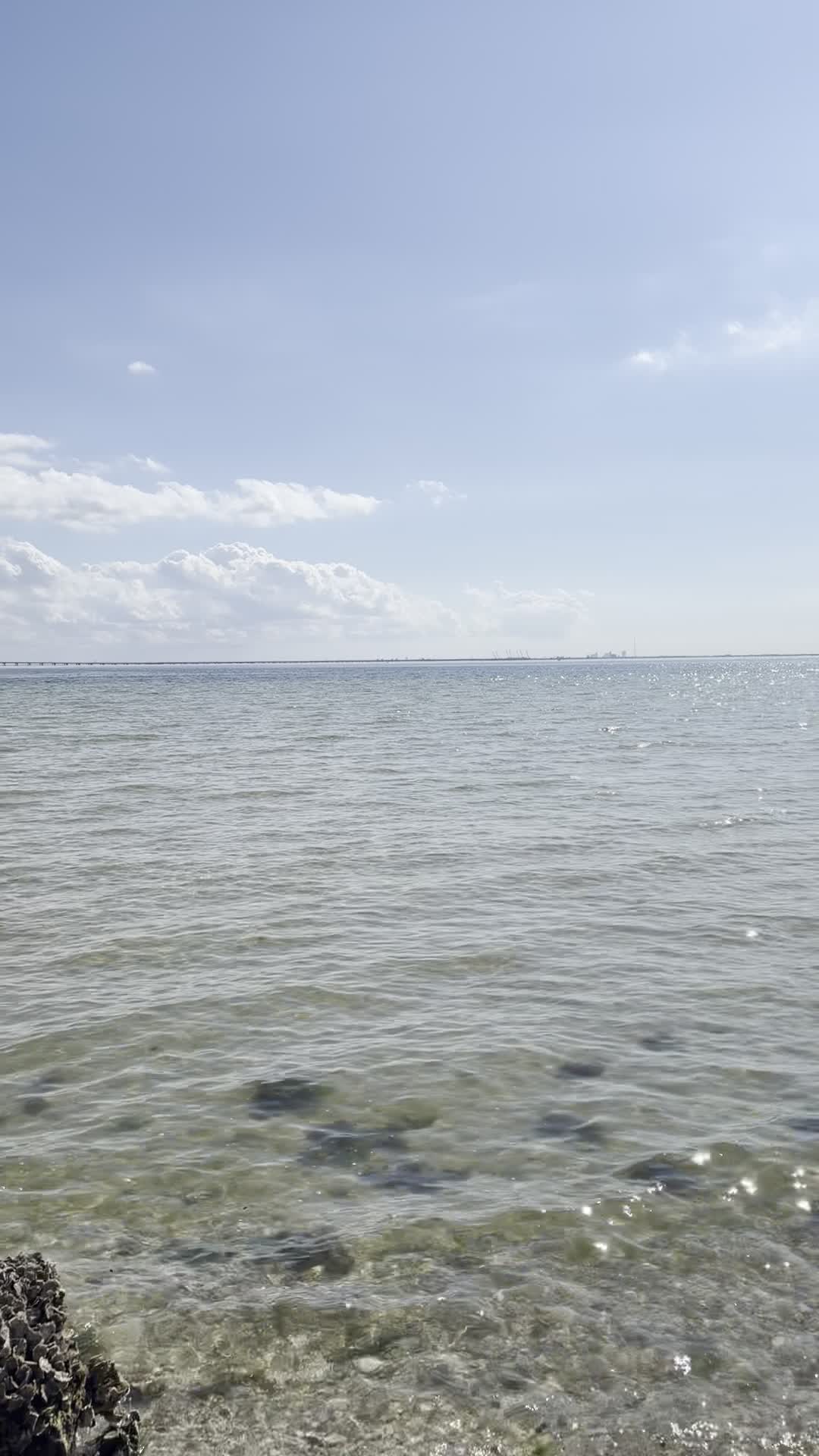 Video review of Ben T Davis Beach