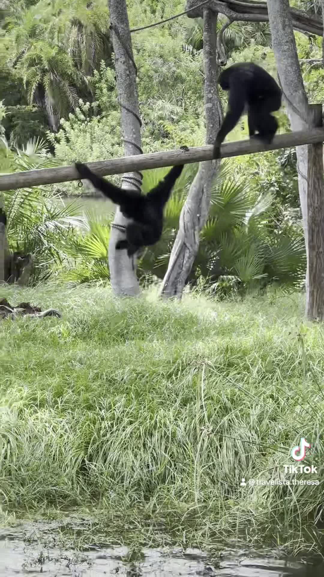 Palm Beach Zoo & Conservation Society