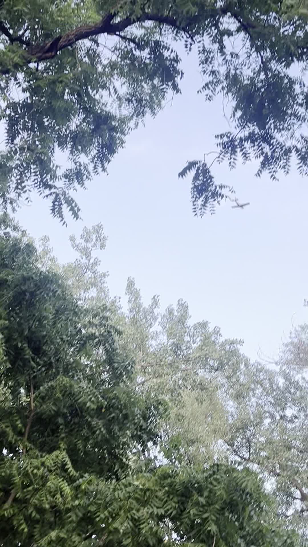 Bald Eagle Lake Regional Park