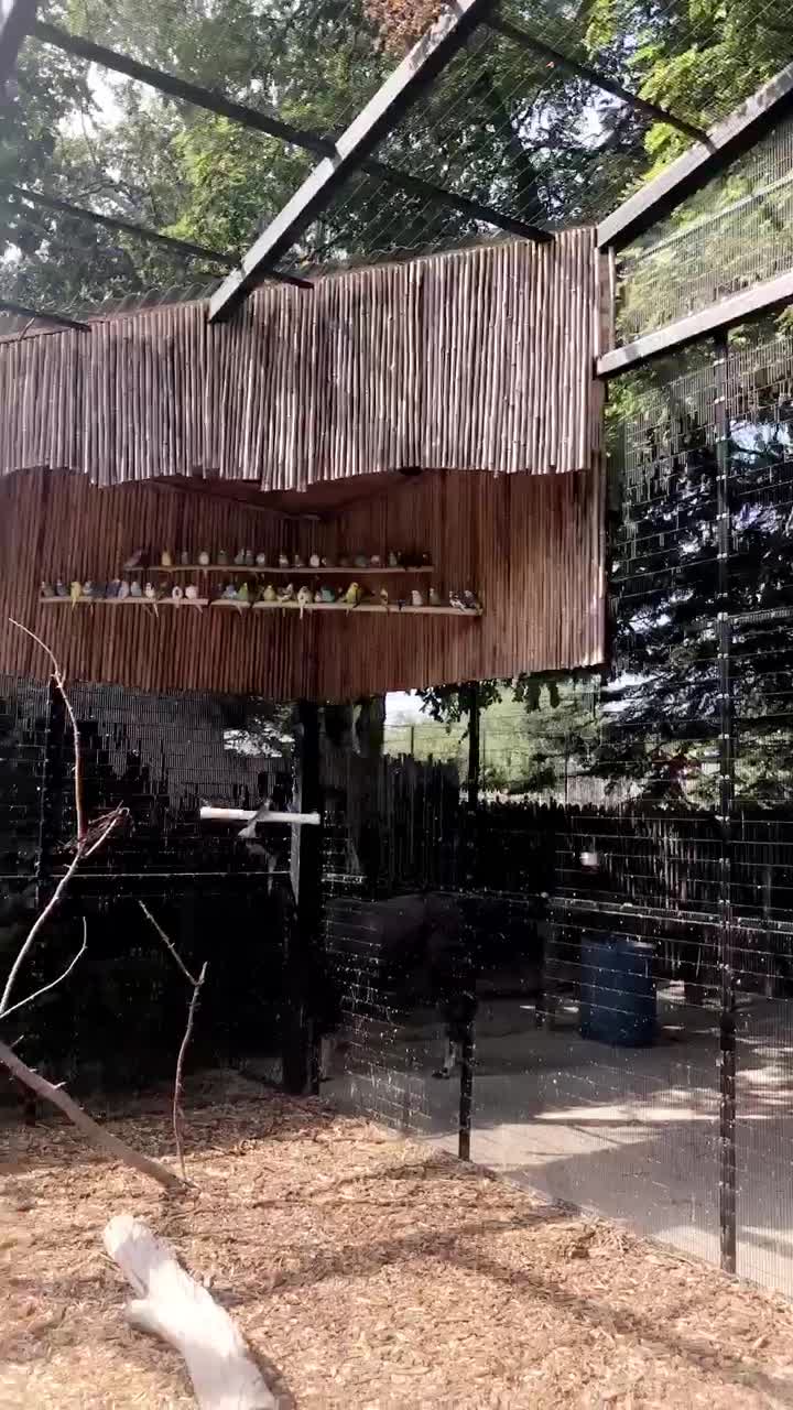 Video review of Racine Zoo