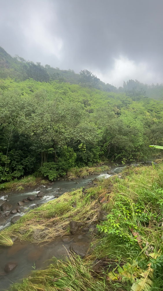 Waimea Arboretum and Botanical Garden