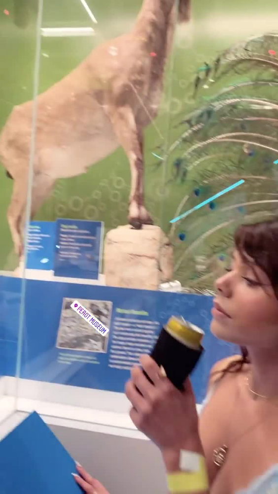 Perot Museum of Nature and Science