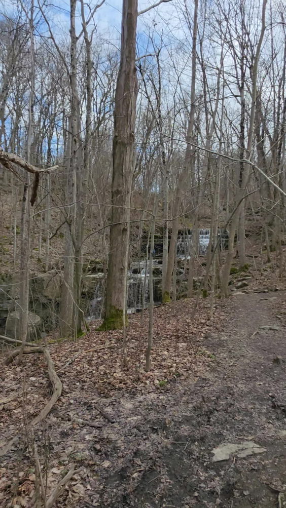 Three Falls Woods