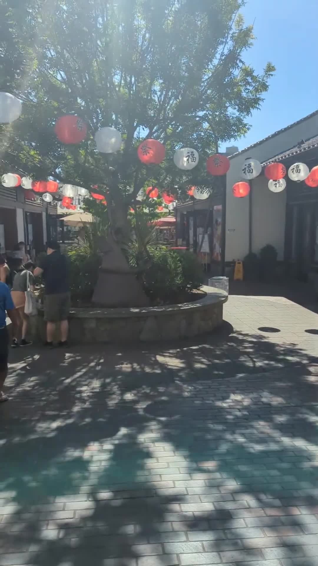 Video review of Japanese Village Plaza