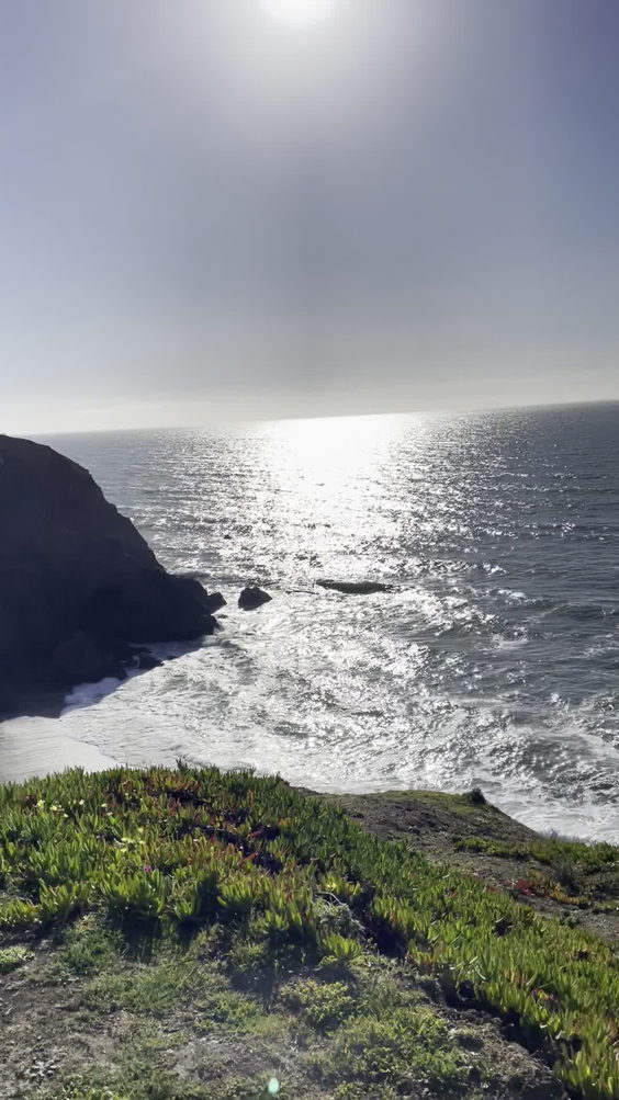 Pacifica Brewery