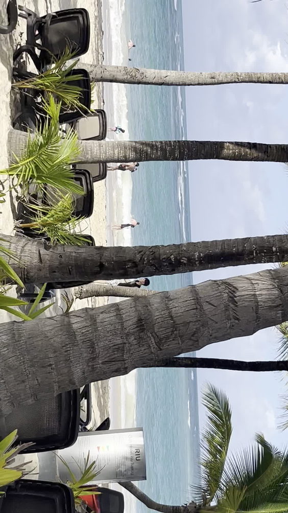 Beach At Riu Bambu