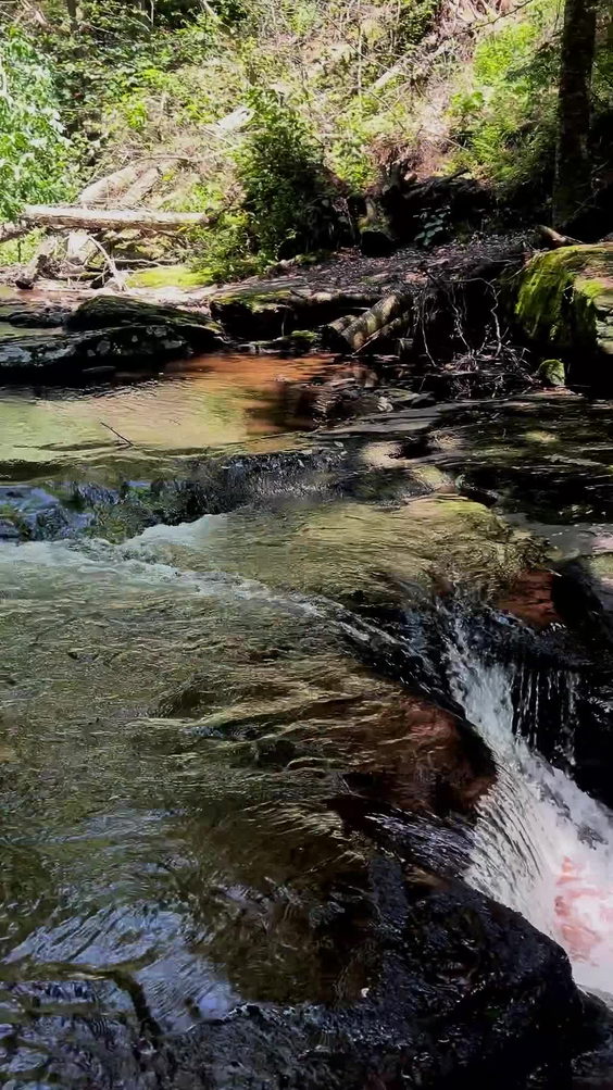 Ricketts Glen State Park