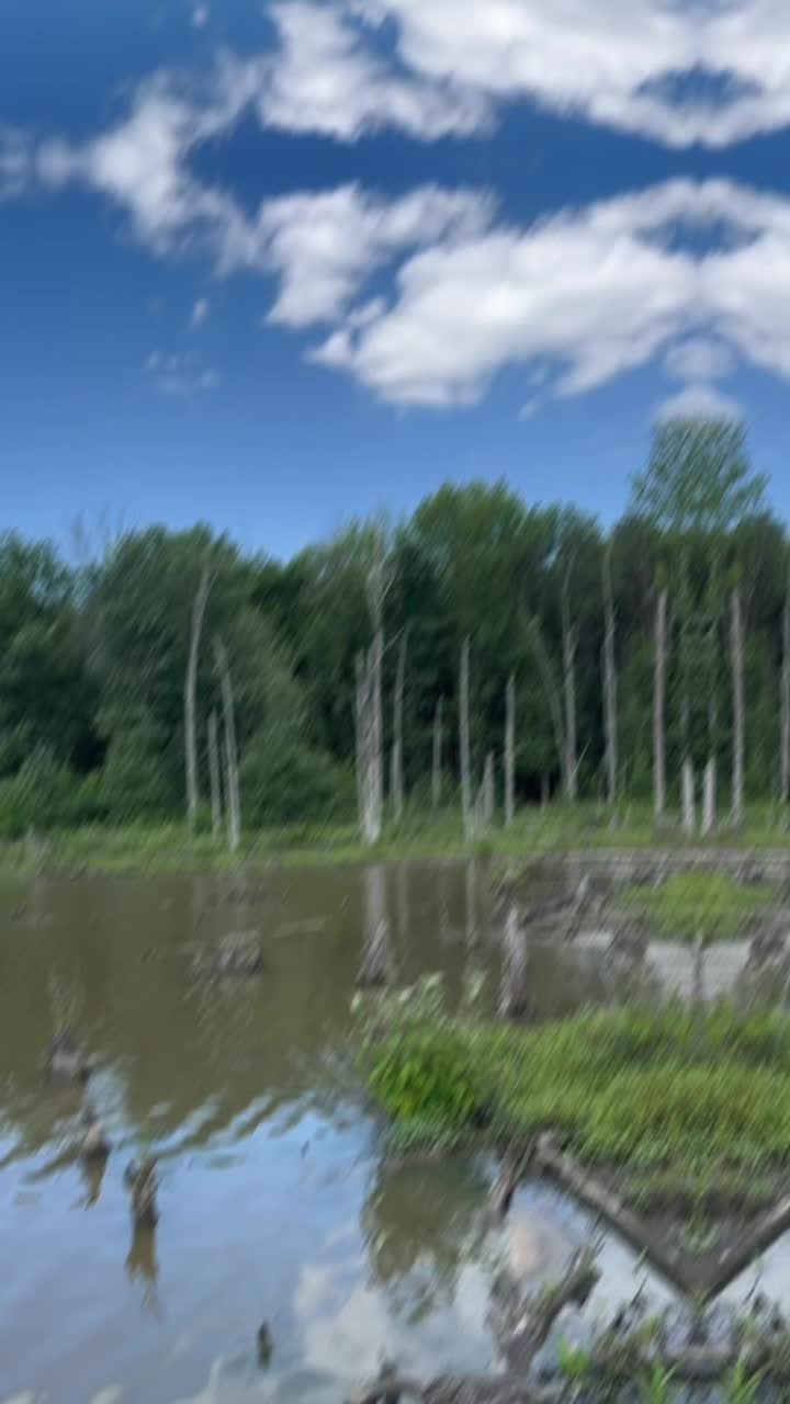 Video review of Huntley Meadows Park