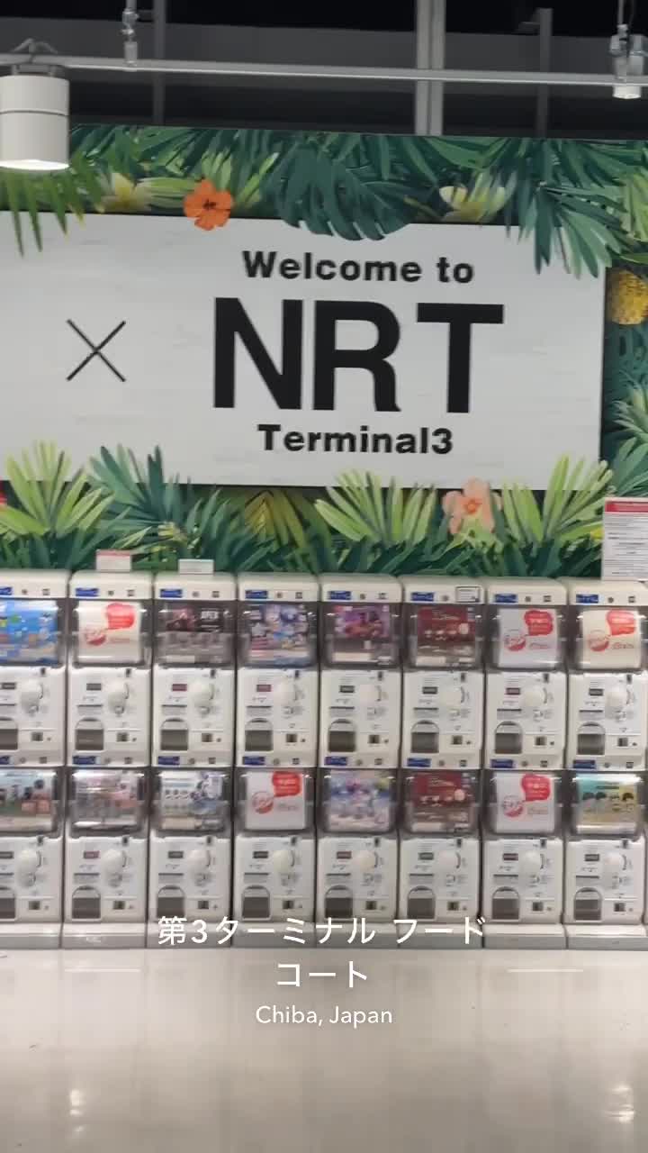 Narita International Airport