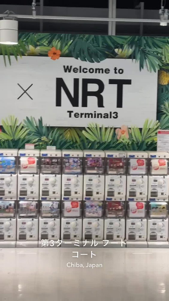Narita International Airport