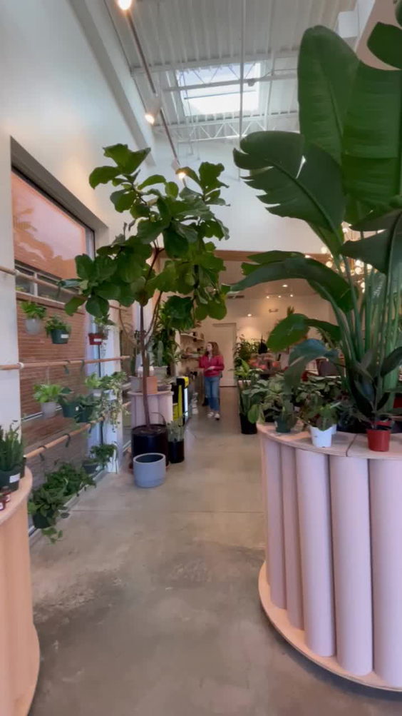 The Flora Culture