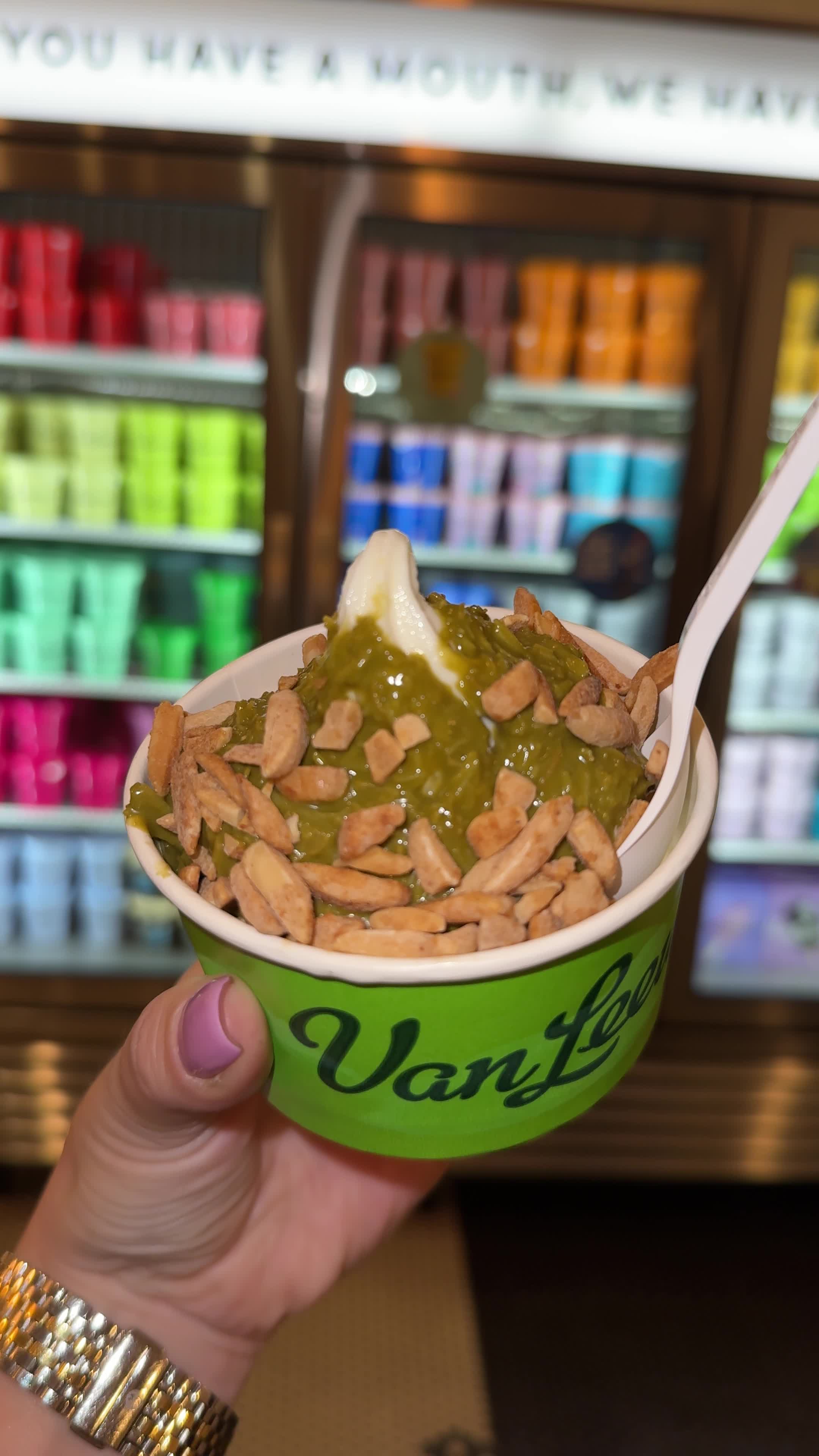 Video review of Van Leeuwen Ice Cream