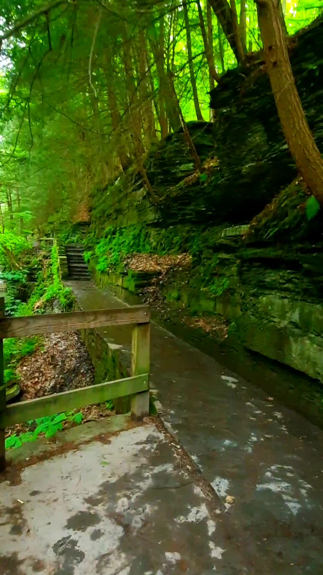 Buttermilk Falls State Park