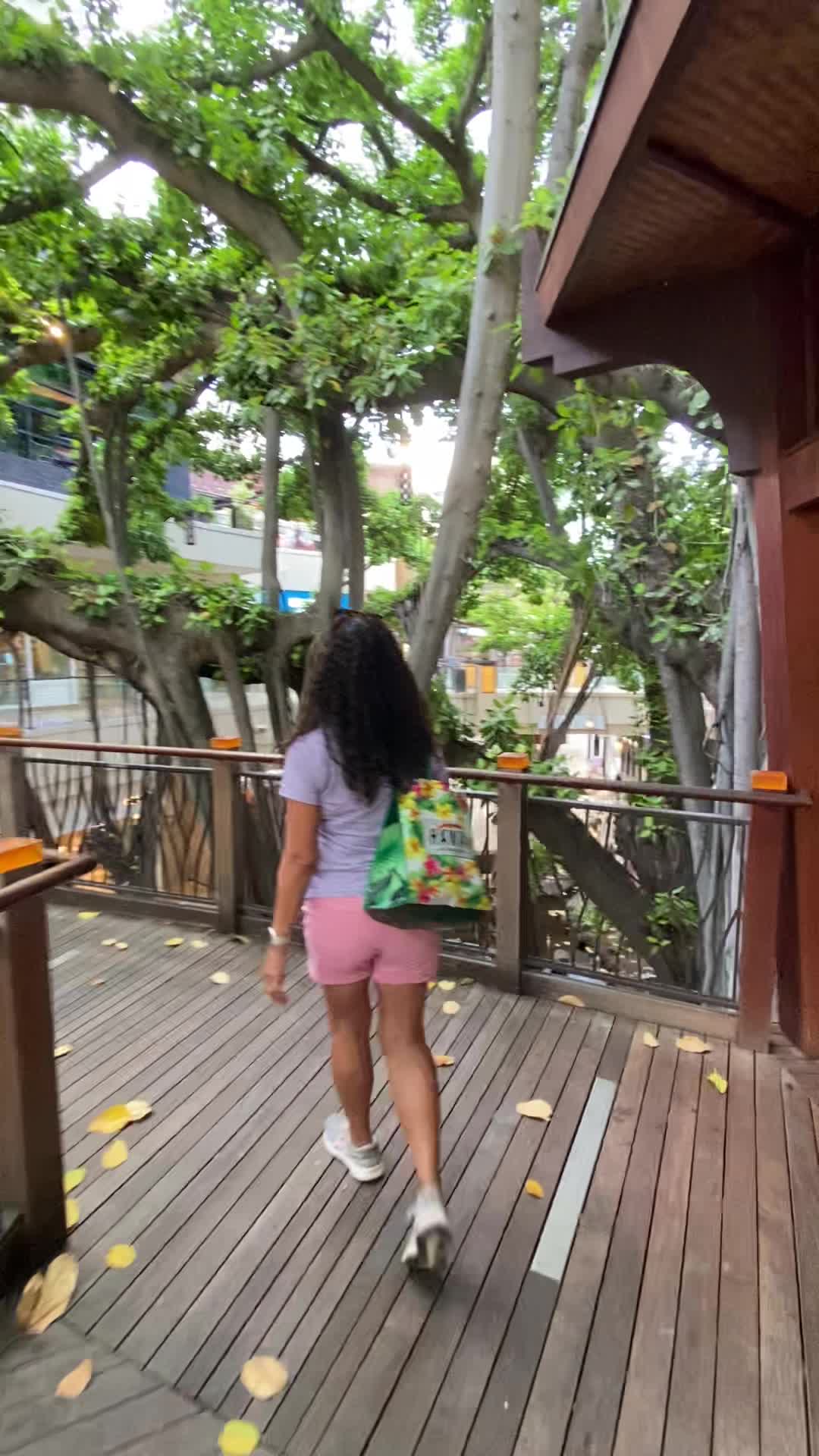 Video review of International Market Place