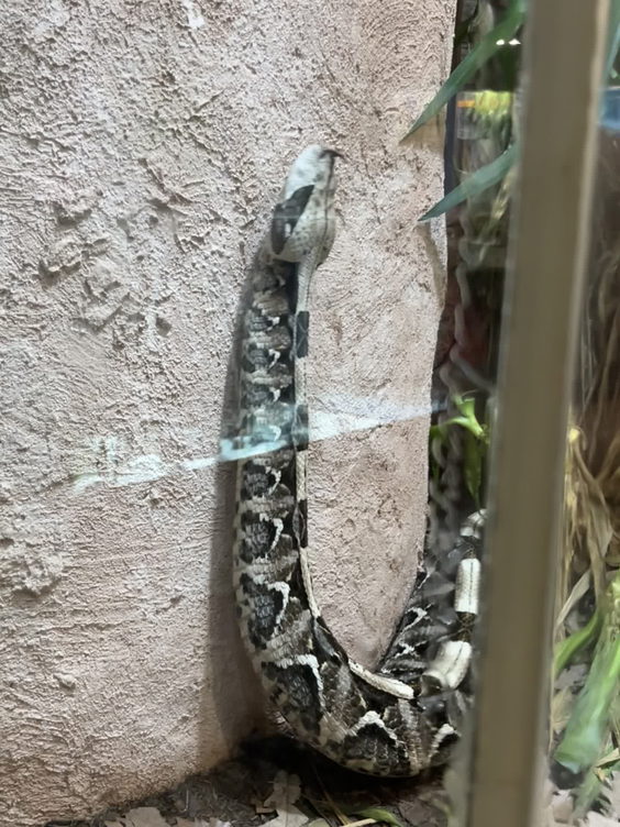 Aquarium & Reptile Conservation Center