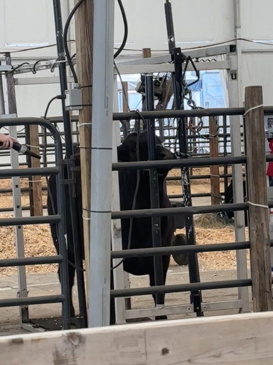 Tamiami Fairgrounds