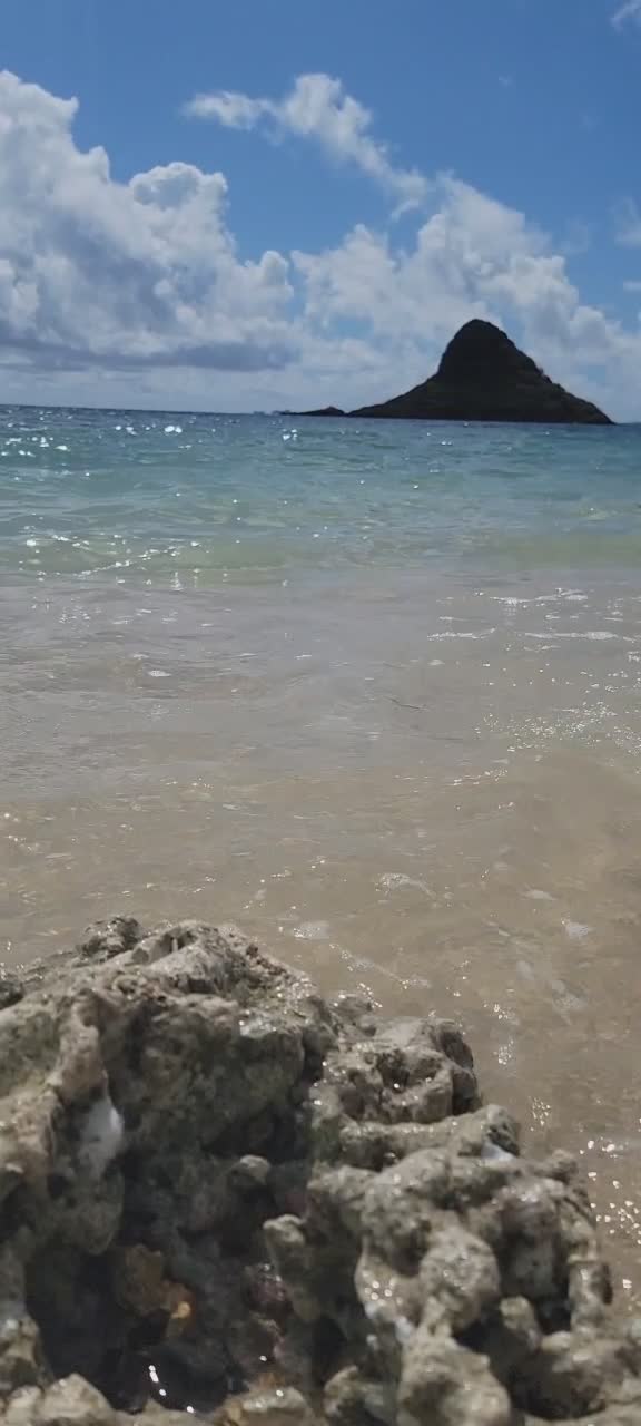 Video review of Kualoa Regional Park