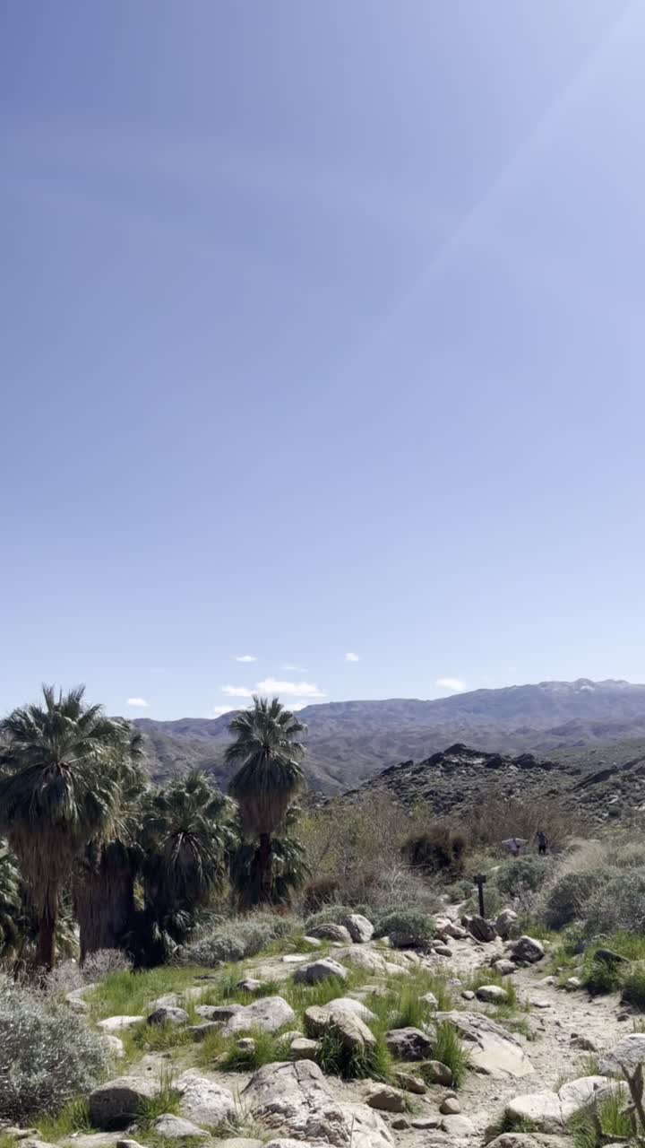 Murray Canyon Trail