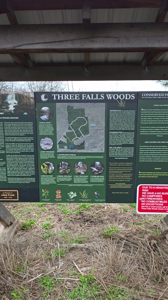 Three Falls Woods